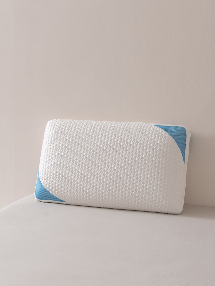 GlacierTex Pillow